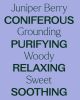 Juniper Berry Essential Oil