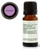 Lavender Essential Oil