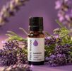 Lavender Essential Oil