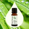 Organic Citronella Essential Oil