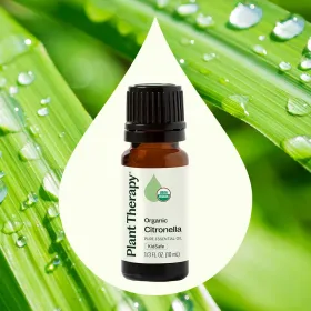 Organic Citronella Essential Oil (Option: 10 mL)