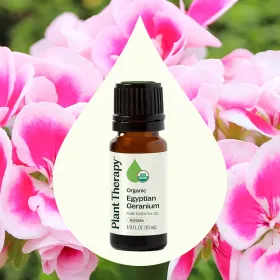 Organic Egyptian Geranium Essential Oil (Option: 10 mL)