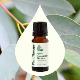Organic Eucalyptus Globulus Essential Oil (Option: 10 mL)