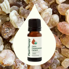 Organic Frankincense Carterii Essential Oil (Option: 10 mL)