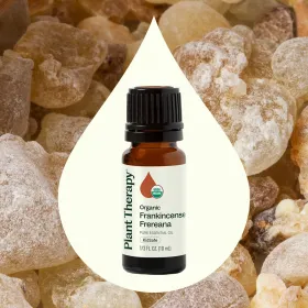 Organic Frankincense Frereana Essential Oil (Option: 10 mL)