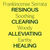 Organic Frankincense Serrata Essential Oil