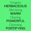 Organic Oregano Essential Oil