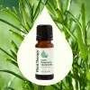 Organic Rosemary 1,8-Cineole Pure Essential Oil