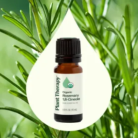 Organic Rosemary 1,8-Cineole Pure Essential Oil (Option: Cineole Essential Oil10 mL)