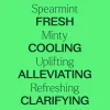 Organic Spearmint Essential Oil
