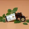 Patchouli Essential Oil