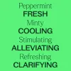 Peppermint Essential Oil