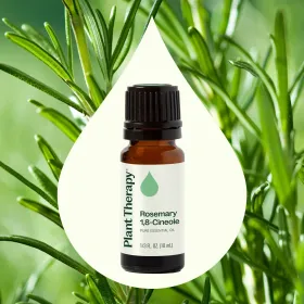 Rosemary 1,8-Cineole Essential Oil (size: 10 mL)