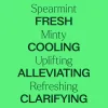 Spearmint Essential Oil