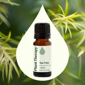 Tea Tree Essential Oil (size: 10 mL)