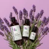 Organic Lavender Essential Oil