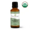 Organic Eucalyptus Globulus Essential Oil