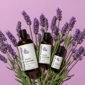 Organic Lavender Essential Oil (Option: 10 mL)