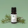 Tea Tree Essential Oil